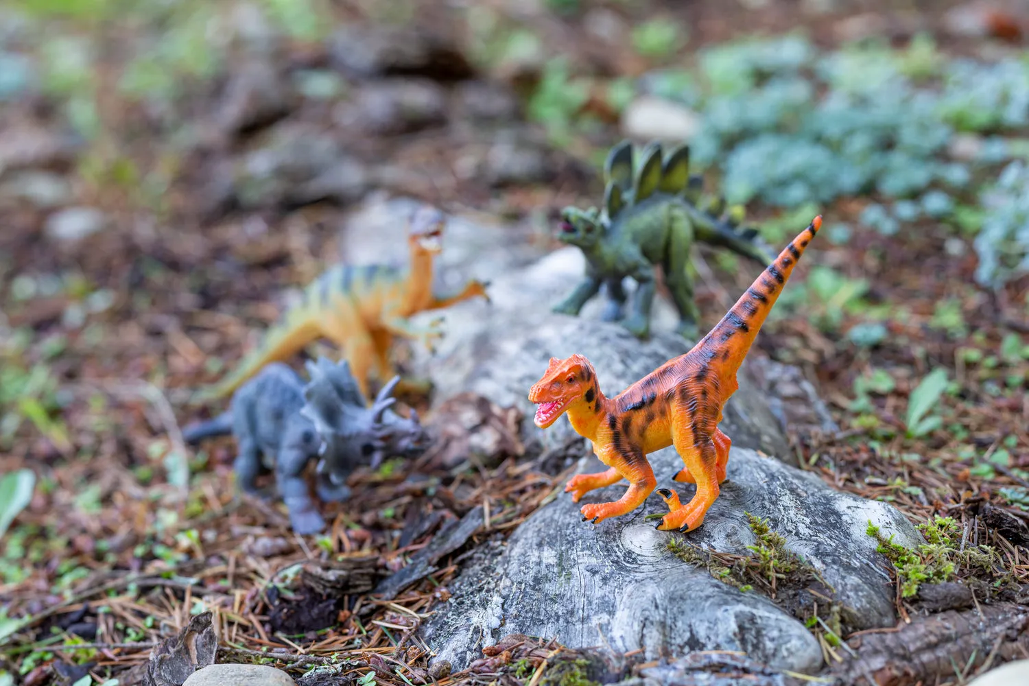 Classic Dinos